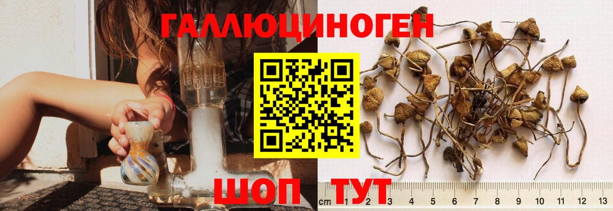Галлюциногенные грибы ЛСД  купить наркотик  Галлюциногенные грибы Magic Shrooms  Кинель  Вход с VPN 